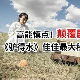 铜匠的咬耳朵是佳佳教的？阴暗解读《驴得水》隐藏主角的三大细节