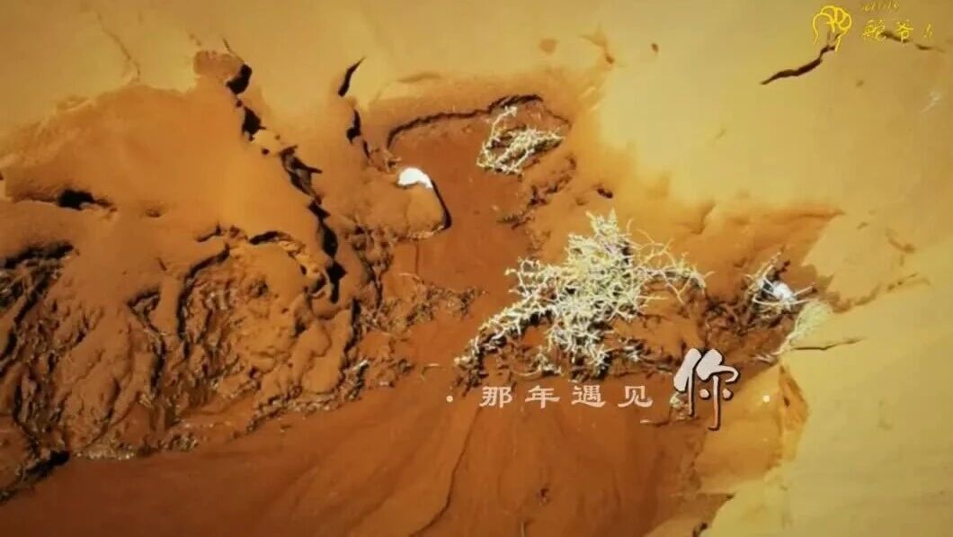  您的浏览器不支持 video 标签 