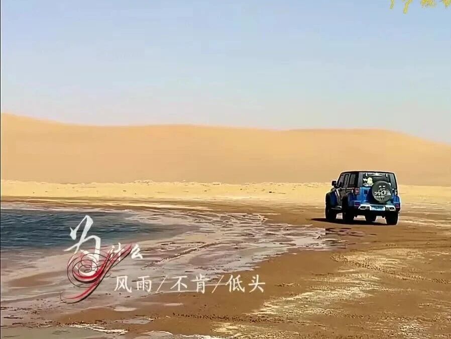  您的浏览器不支持 video 标签 