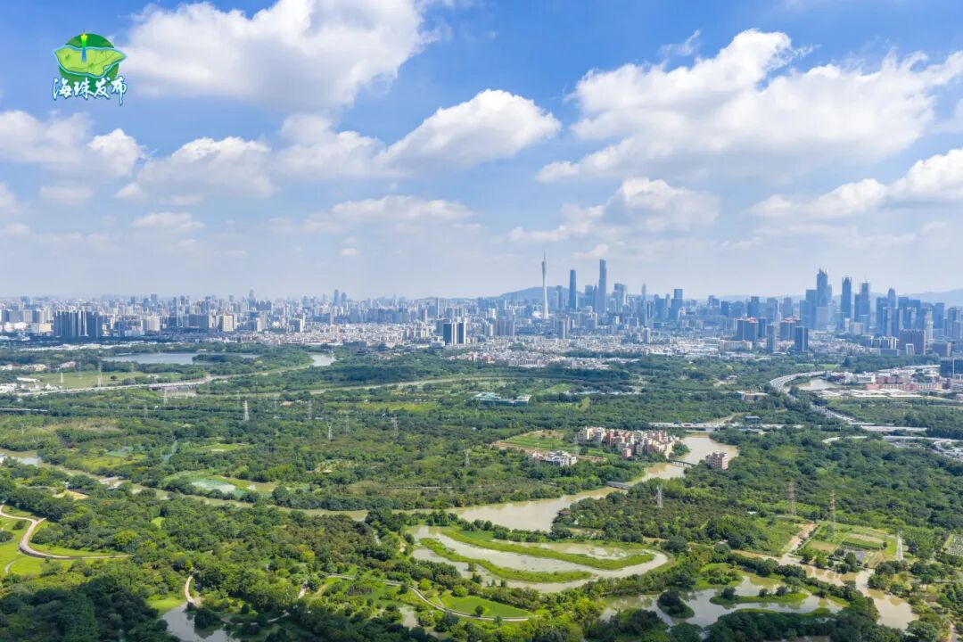 海珠湿地推文1.jpg