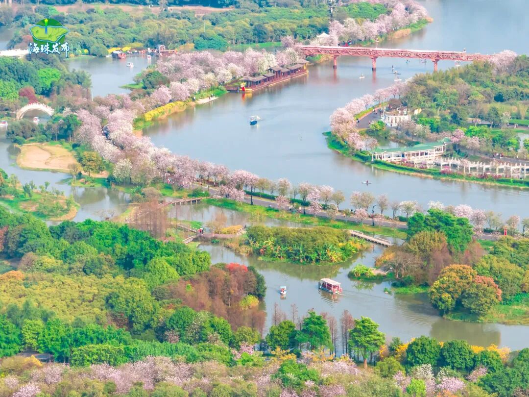 海珠湿地推文5.jpg