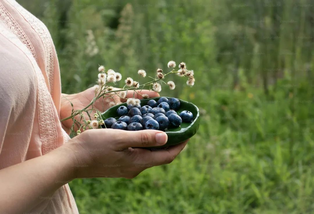 A woman holding a bowl of blueberries in her hands