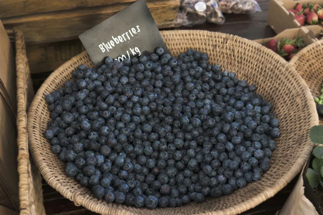 a basket of blueberries