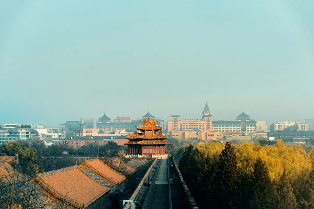 a city with a large pagoda