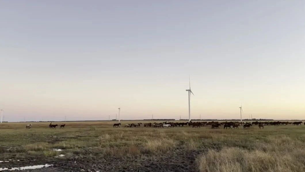 05@林海夕：⭐手机静音后，我的人生复活了