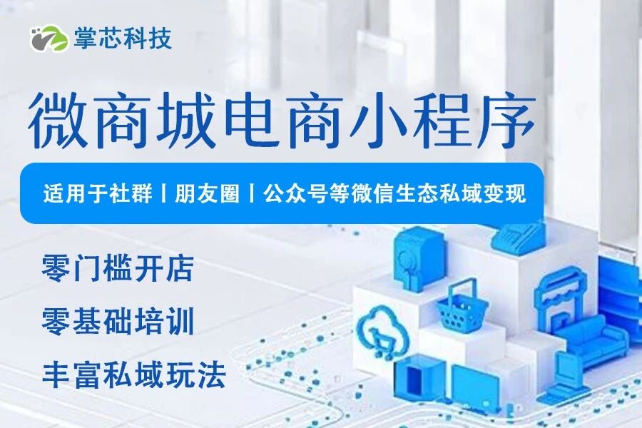 微商城电商小程序掌芯科技