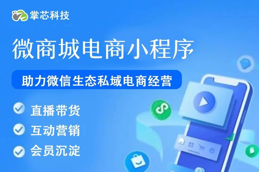 微商城电商小程序掌芯科技