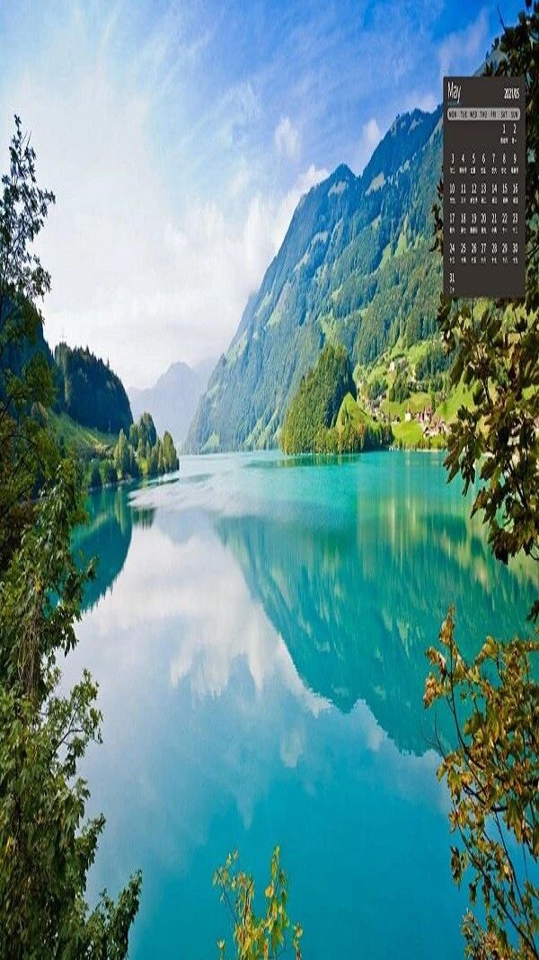 数云数据赢家会员工具