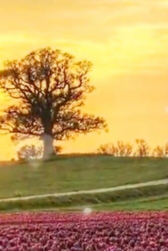 感谢今生让我遇见了你~