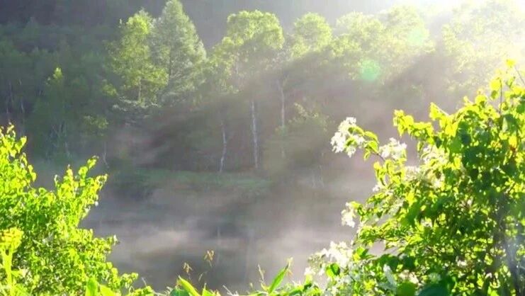 ▼⭐清晨，问候！