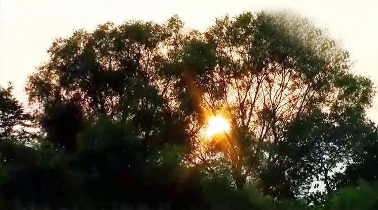 收录于合集⭐一首《夏天的思念》立夏时节，祝您快乐！