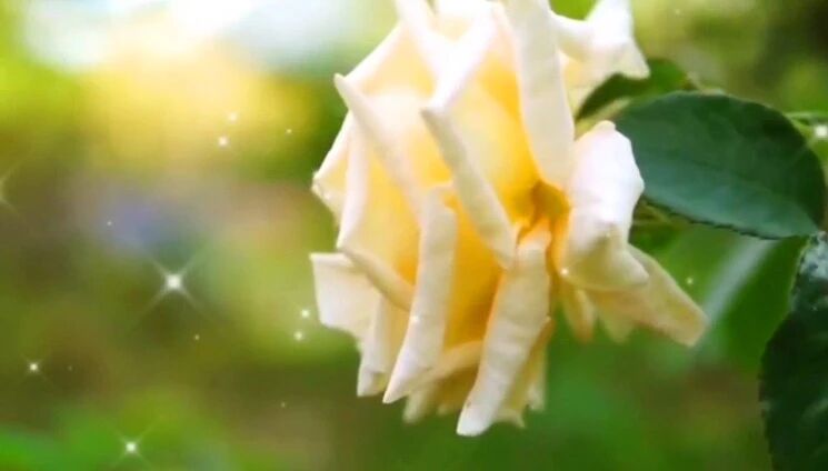 收录于合集⭐走过3月，迎接4月！一首《春枝绿叶》送给朋友们！