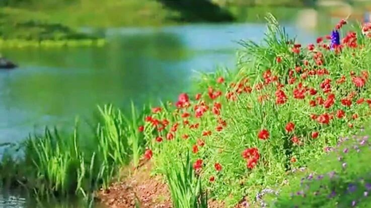 一句懂你，便温暖了一段岁月！