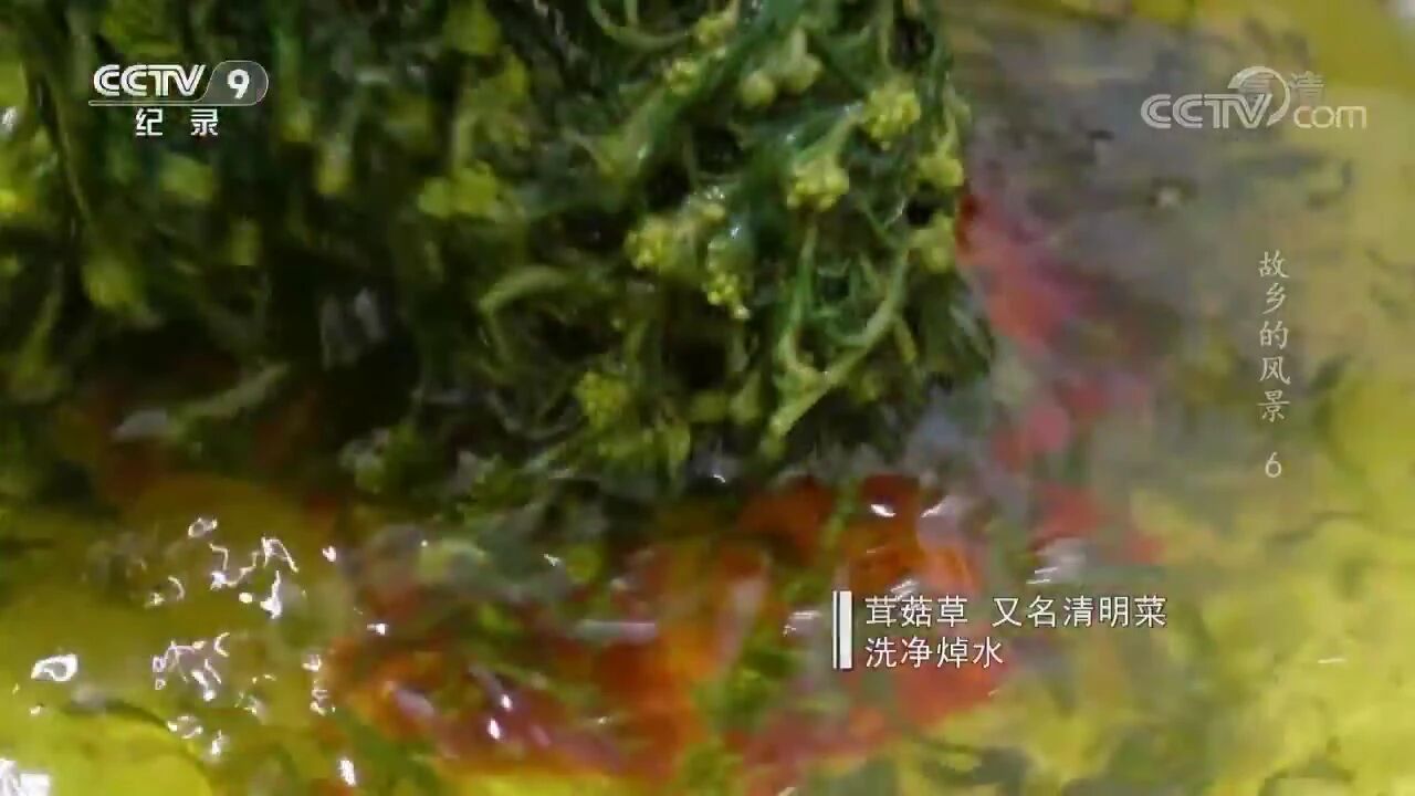 06《春望》⭐纪录片《故乡的风景》全6集-6