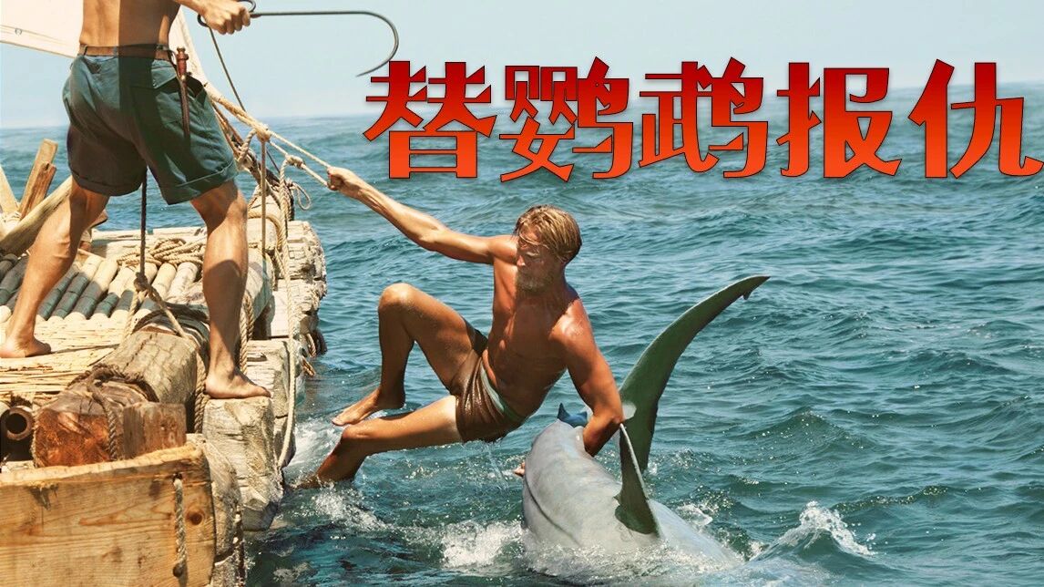 超生猛！爱鸟被鲨鱼吃了，拽住尾巴拖上来，果然是海贼王的男人！