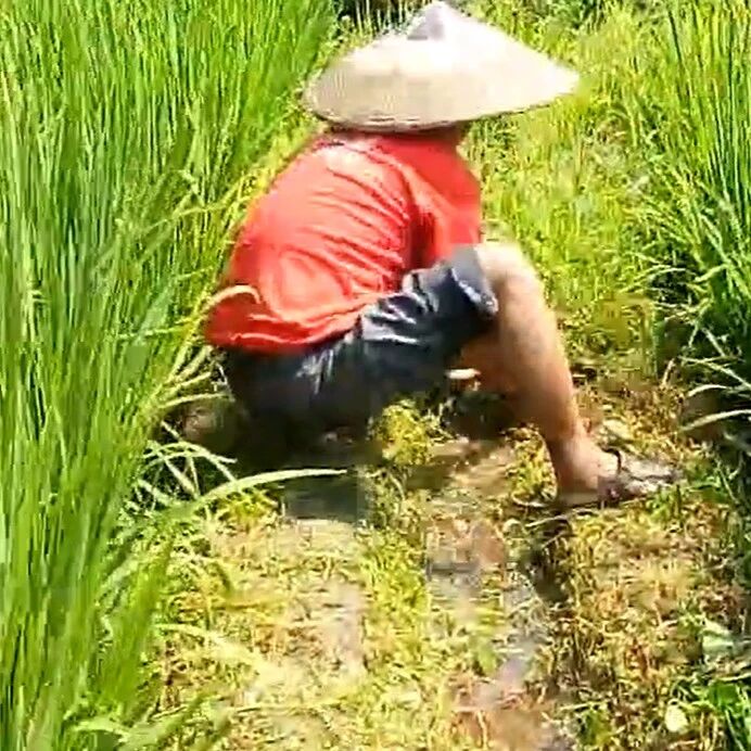 俗语：男怕鬼月，女怕腊月，“鬼月”是几月？腊月又有啥好怕？