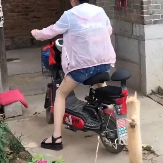 老话：“钱多不住东厢房，无钱不与娘家忙”，听懂老人言不吃亏
