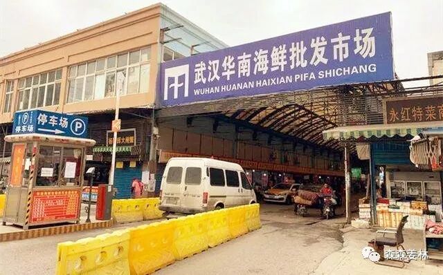 封口到封城：维稳式定性谣言，扼杀危机意识很残忍