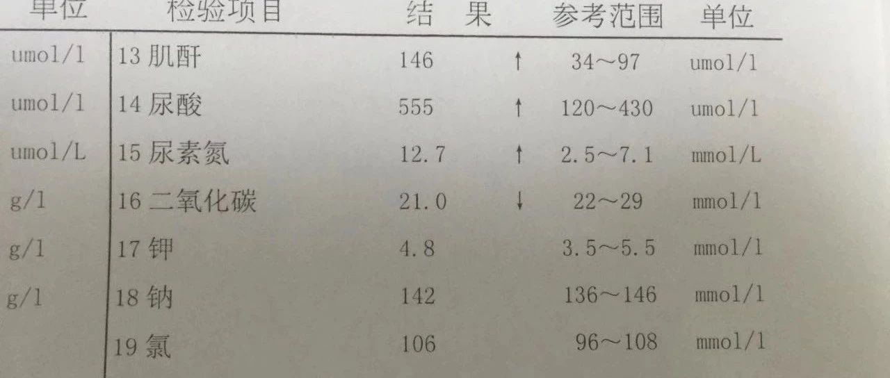 血肌酐偏高是怎么回事?该怎么办?