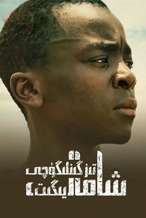 شامال تىزگىنلىگۈچى يىگىت تەۋسىيە فىلىم 