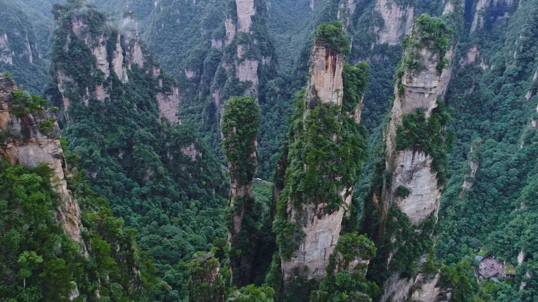 摄图网_501624872_banner_张家界武陵源峰林（企业商用）.jpg