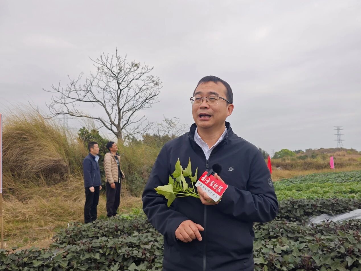 广东省农科院作物研究所研究员黄立飞