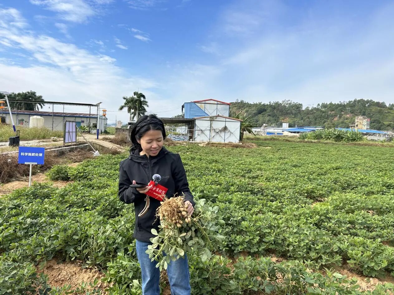 广东省农业科学院作物研究所助理研究员王润风