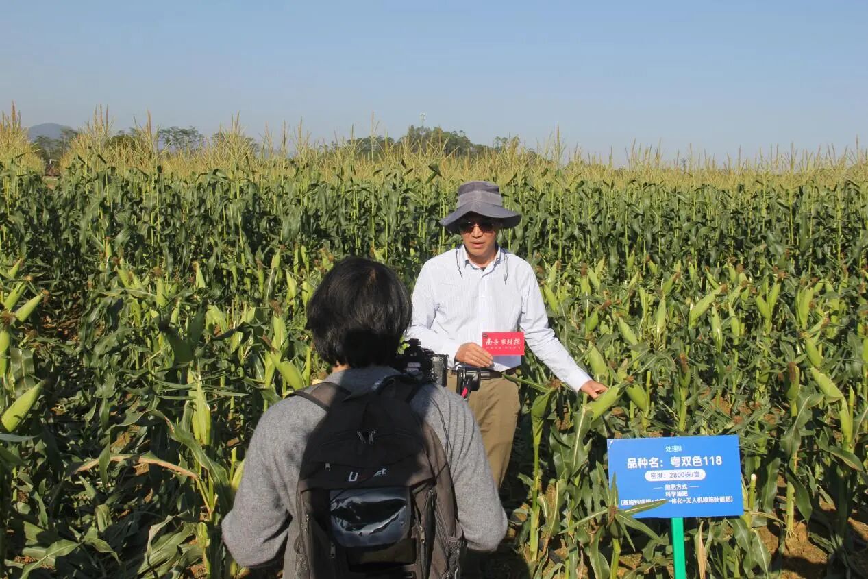 广东省农业科学院作物研究所研究员卢文佳