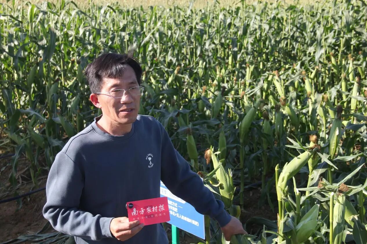 广东农业科学院作物研究所玉米研究室主任、研究员 李高科