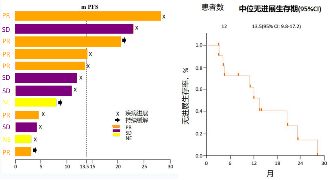 新建 PPTX 演示文稿_00.png