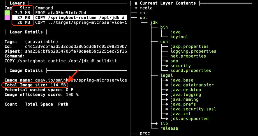 用 dive 工具分析 Java Docker 镜像层结构，BellSoft Liberica JDK 基础镜像体积 114MB，其中 JDK 层就占 87MB