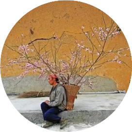 喂马劈柴及面朝大海