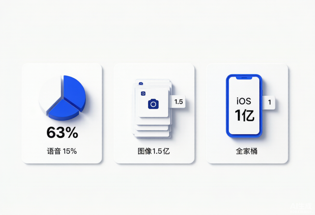 Gemini 用户与用法构成