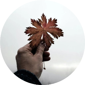 阿林说娱乐