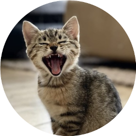 正儿八经聊知产