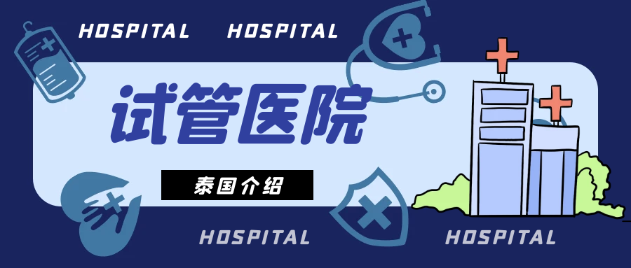 泰国单身试管婴儿医院排名来了!单身女生必看的泰国试管考察笔记(全是干货)