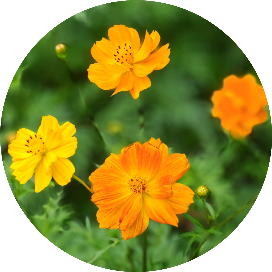 青春作伴好读书