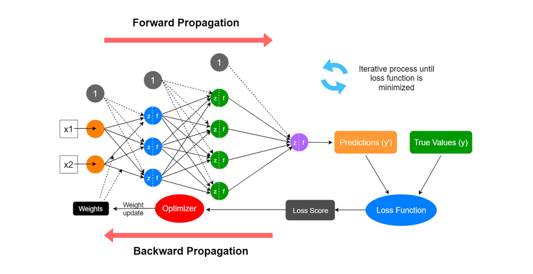 A Beginner's Guide to Neural Networks: Forward and Backward Propagation  Explained | by Sankalp Salve | Medium