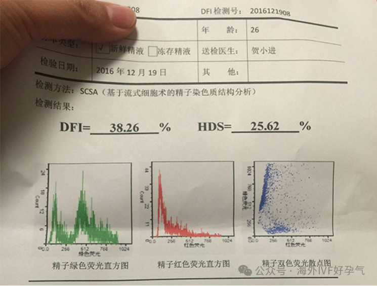 男性不孕不育的五大原因？精子DNA碎片率高是罪魁祸首！别不拿生活习惯当回事