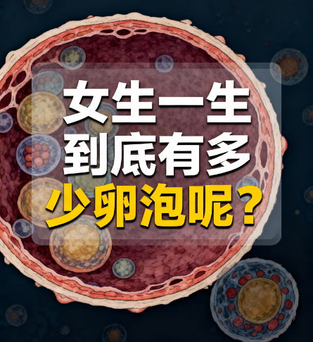 促排=杀鸡取卵？