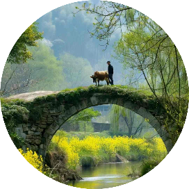 乡村v小院v母亲