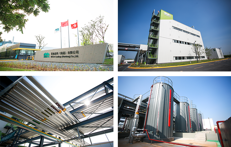 祝贺麦加芯彩成功上市！