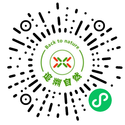 追溯自然市集