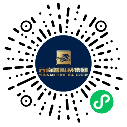 云南普洱茶集团