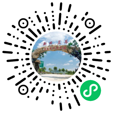 维果先森果蔬