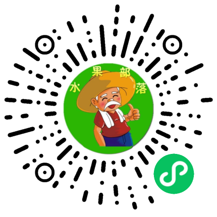 鲜果小部落