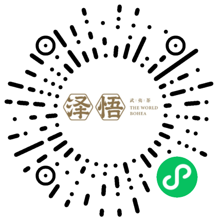 泽悟武夷茶