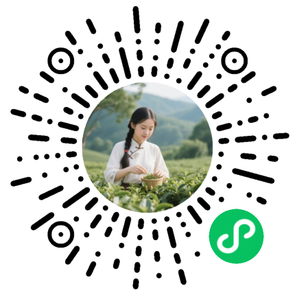 日照绿茶世家