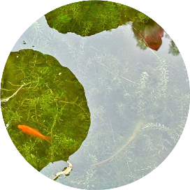 人文社科论文速览