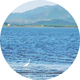 妮子的搞钱日记